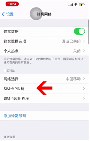 阳春苹果14维修网分享如何给iPhone14的SIM卡设置密码 