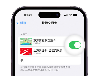 阳春apple维修点分享iPhone上更换Apple Pay快捷交通卡手绘卡面 