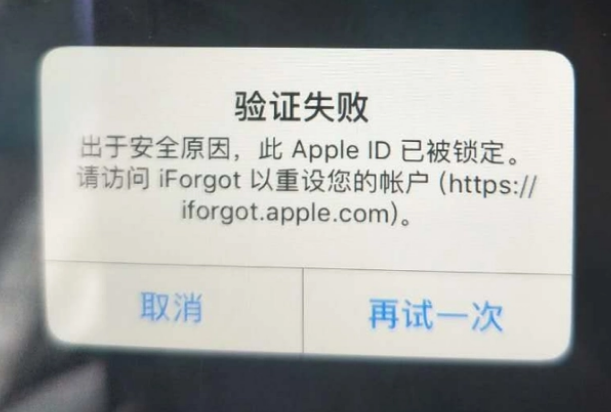 阳春iPhone维修分享iPhone上正常登录或使用AppleID怎么办 