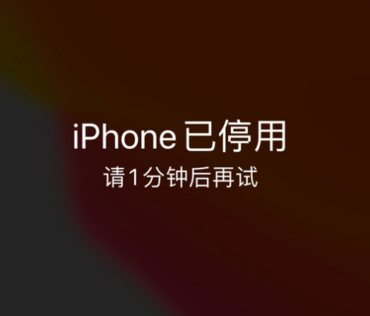 阳春苹果手机维修分享:iPhone 显示“不可用”或“已停用”怎么办？还能保留数据吗？ 