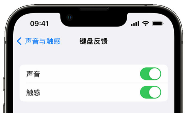 阳春苹果手机维修分享iPhone 14触感键盘使用方法 