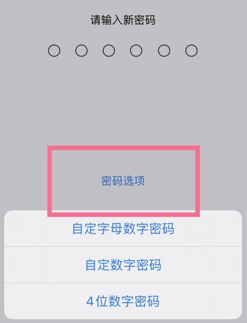 阳春苹果14维修分享iPhone 14plus设置密码的方法 