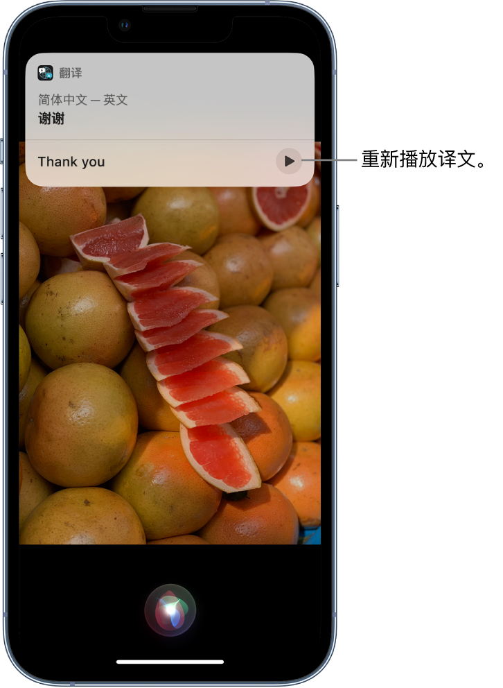 阳春苹果14维修分享 iPhone 14 机型中使用 Siri：了解 Siri 能帮你做什么 