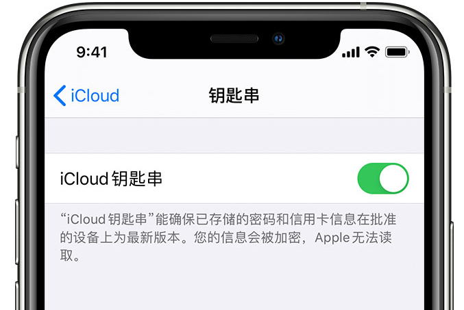 阳春苹果手机维修分享在 iPhone 上开启 iCloud 钥匙串之后会储存哪些信息 