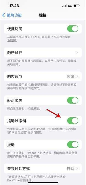 阳春苹果手机维修分享iPhone手机如何设置摇一摇删除文字 